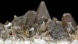 Dogtooth Calcite Crystal Cluster - Morocco #57377-3
